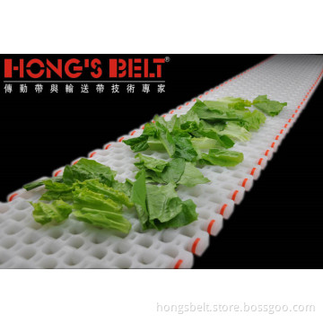 The Vegetable Industry Modular Conveyor Belt (HS-501B)